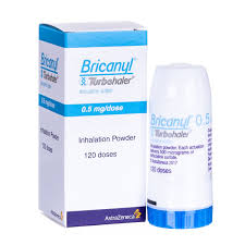 Bricanyl